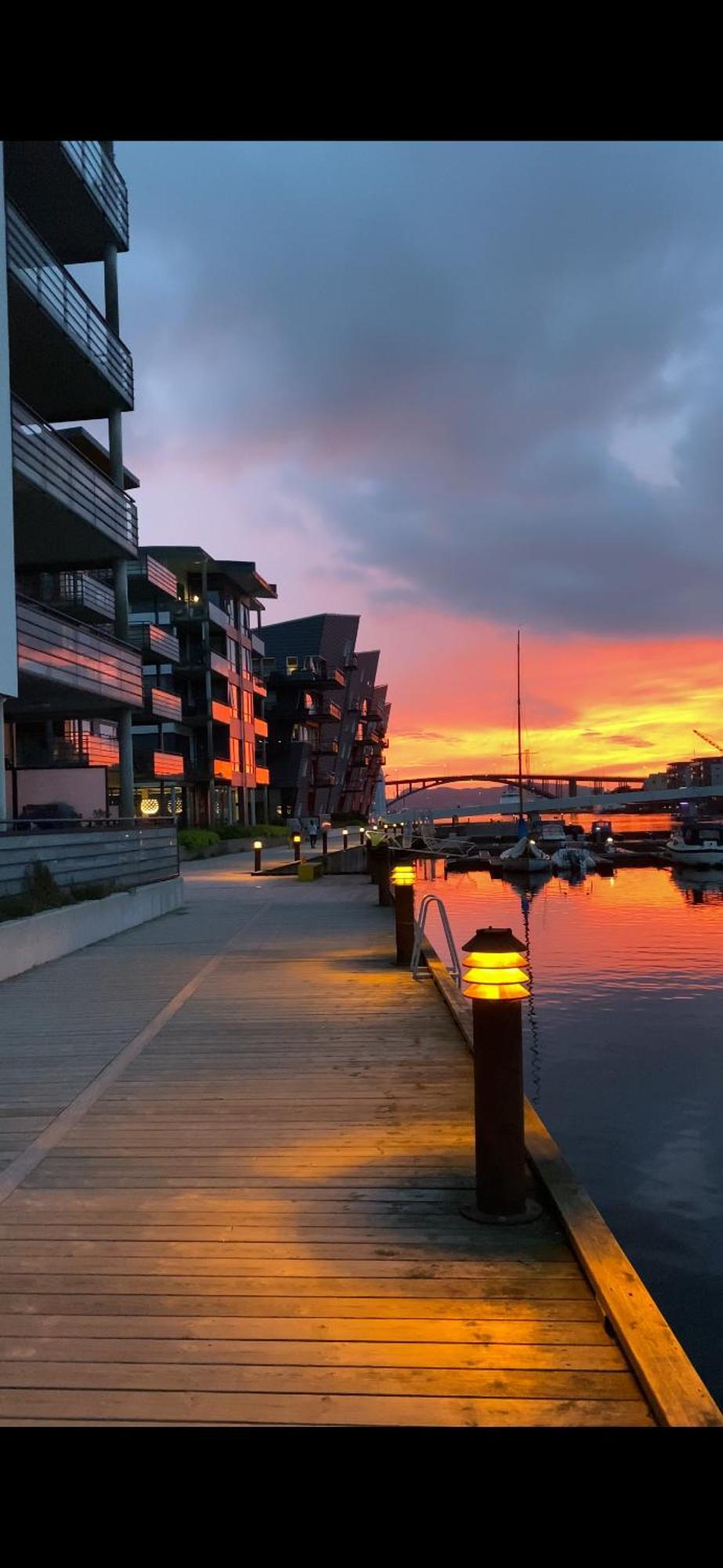 Nydelige Damsgardsveien, 3-Roms Moderne Leilighet! Bergen Buitenkant foto